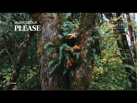 [Lyrics] Please - WJSN Seola Cover