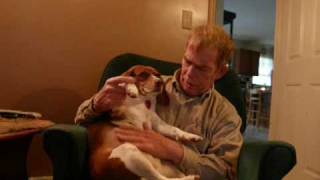 preview picture of video 'weezie my beagle'