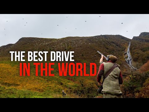 The Ultimate Game Shoot