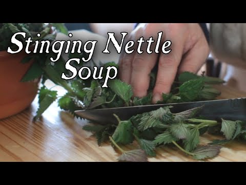 Stinging Nettle Soup - 18th Century Cooking