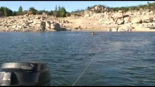 Peli Pantano Trailer