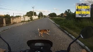 preview picture of video 'Acidente de moto cachorro Motorcycle accident dog - XRE 300 Pelotas Moto Honda GoPRO Tabordes'