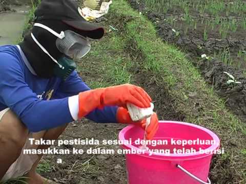 Bagaimana untuk memperbesar penis Anda dengan 5 cm Mengurangi potensi varikokel