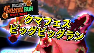 【野良カン自由入退出】完全出遅れビッグビッグランドリーマー - スプラトゥーン3・サーモンランNW【収録・ライブ配信】