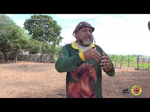 Pega De Boi No Mato 10 anos Paus Brancos Mauriti