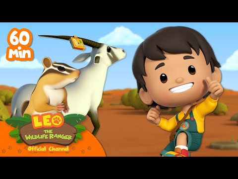 Witness21  2023 07 16