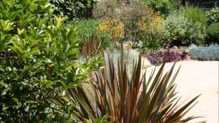 MY FIRST DAY ALONE.wmv