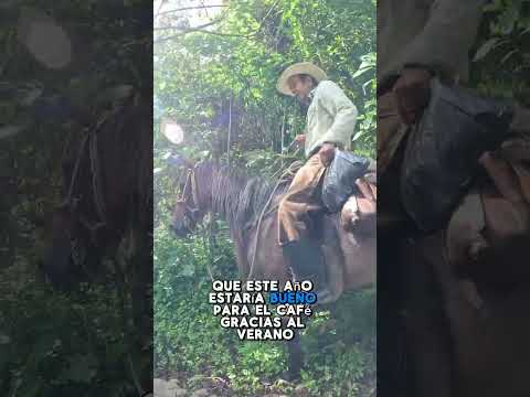 Recorriendo Titiribí