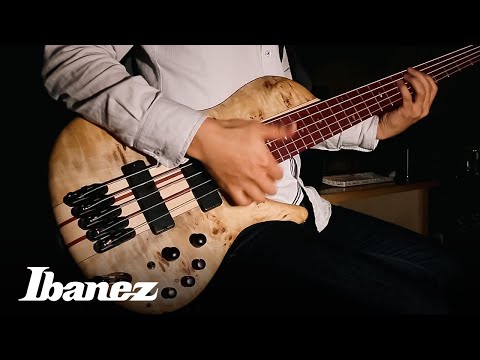 Ibanez Bass workshop : SRSC805NTF