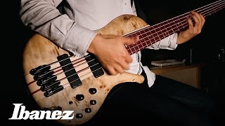 Ibanez Bass workshop : SRSC805NTF