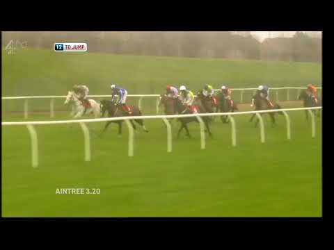 2012 Grand Sefton Handicap Chase