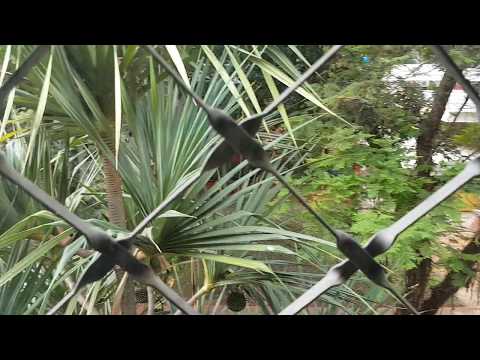 GRANDE OPORTUNIDADE NA ASA SUL !! SQS 415 BLOCO "Q" ALUGUEL !!