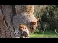 Traveller The 126ers YouTube Audio Library