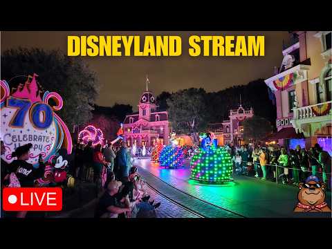 Live webcam of Koda Bear the Explorer 