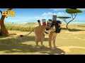 Magnet Leon The Lion Compilation