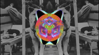 Sex Whales - Hachiko