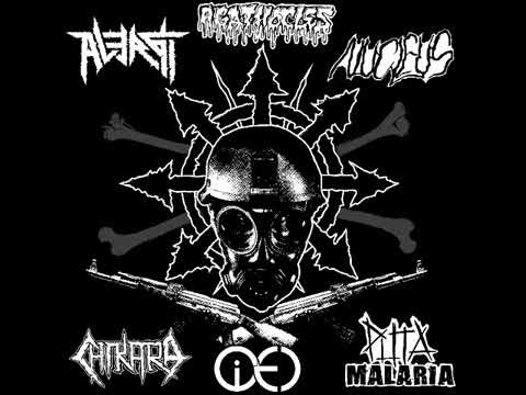 Alergi / Agathocles / Nucleus / CHIKARA / I Eternal / Puta Malaria - 6 Way Split [2018]