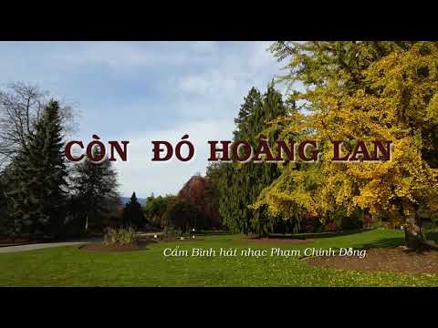 Thể hiện bởi Cẩm Bình