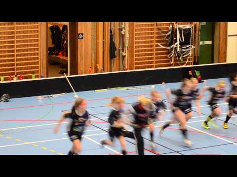 Innebandykungens testpanel - Ebba Del 2