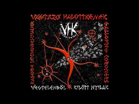 Kobza Vajk Trió - Kozmikus Álomhajó I-II.