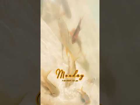 #music #beats #typebeat #foryou #nature #naturephotography #yt #ytshorts