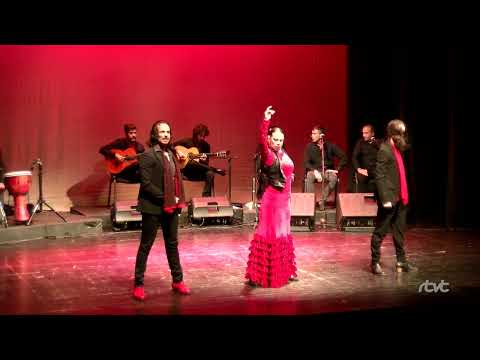 PGM ESPECIAL DIA DEL FLAMENCO 2023 CON ROCIO DIAZ