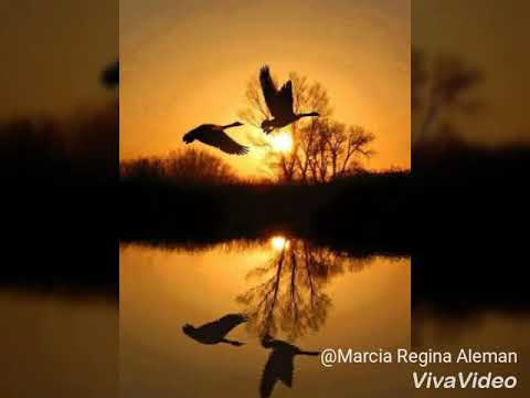Espírito Santo, guarda-me oh Pai, como a menina dos Teus olhos....