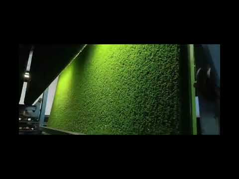 Artificial Grass 仿真草坪 Rumput tiruan