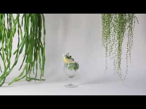 download lagu mp3 mp4 Gin Thyme Cocktail, download lagu Gin Thyme Cocktail gratis, unduh video klip Gin Thyme Cocktail