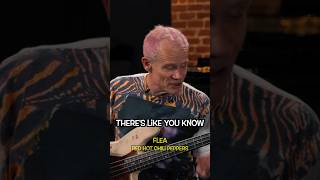 Flea demonstrates the hardest Red Hot Chili Peppers bass parts. #bass #bassplayer #funk #shorts