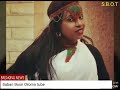 Mahamed Sheka Best Oromo Music Leelloo Leelloo Tiyyaa