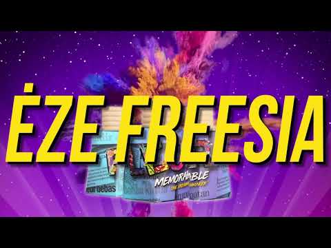 download lagu mp3 mp4 Freesias South Africa, download lagu Freesias South Africa gratis, unduh video klip Freesias South Africa