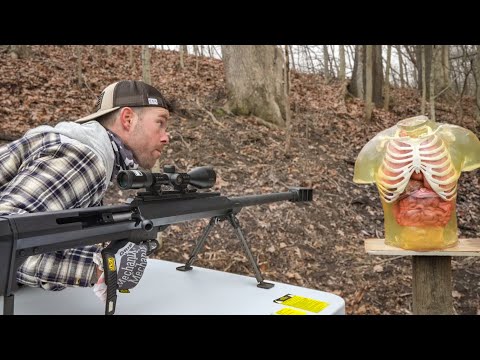 50cal Can Miss & Still Do Damage?! (vs Human Torso)