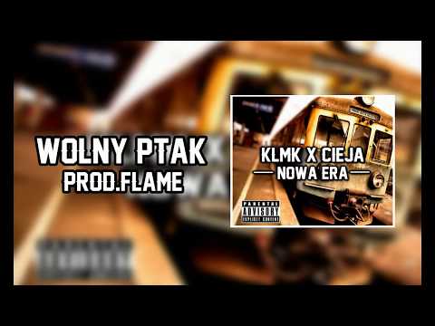 KLMK x CIEJA - WOLNY PTAK / FLAME