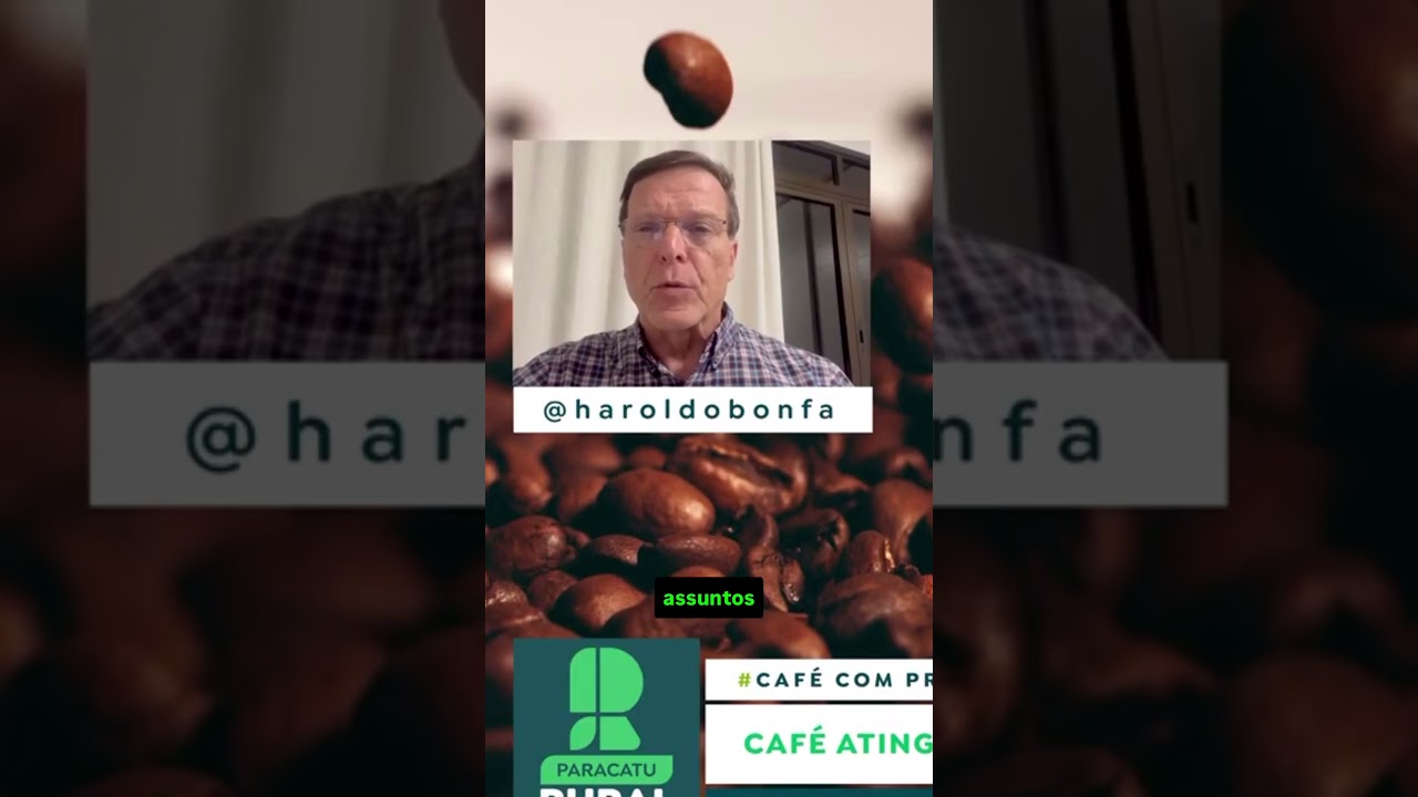 Café atinge US$ 3 em nova York! É a hora certa para vender?