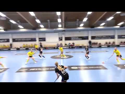 T21: EräViikingit - PSS 12.11.2023 maalikooste