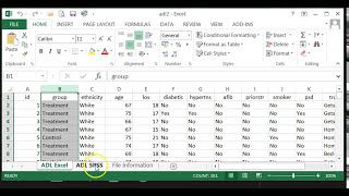 How to import Excel file into SPSS