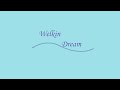 Welkin Dream