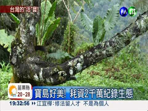 史溫侯精神! 紀錄珍稀動物