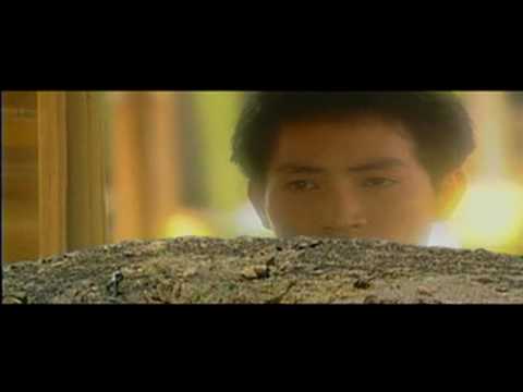 Tình Đơn Côi - Nguyễn Phi Hùng | Official Video HD | Ca Khúc Hay Thế Hệ 8x,9x Một Thời Đáng Nhớ