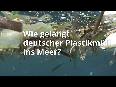 Wie gelangt deutscher Plastikmüll ins Meer? | BR24