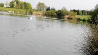 RC BOAT Godzilla world edition