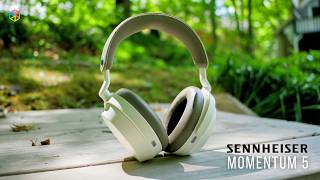 Video thumbnail for I Tested the Sennheiser Momentum 5: ONE Major Problem Remains by GearUP with Aaron