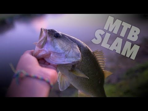 Using the MTB pro box to catch AGGRESSIVE bass!!!
