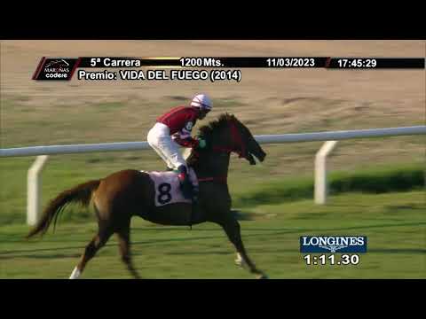 230311 c05 OLYMPIC NEVADA (BRZ)