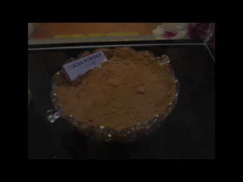 chocolate & coffee museum