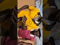 UTHI YA IRIUKO A THARAKA CIRCUMCISION DANCE
