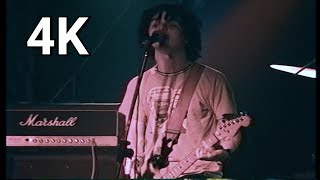 Green Day - Who Wrote Holden Caufield? (4K Remastered Live Video) 1993