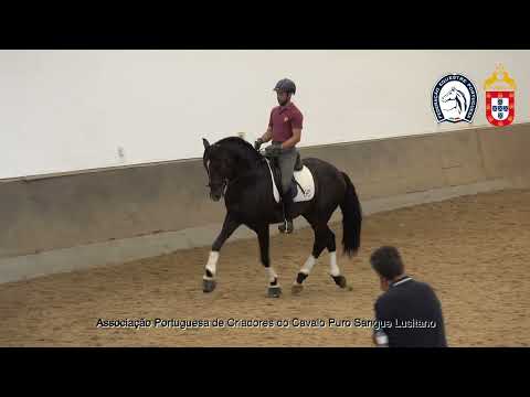 230626 5 Proj Ensino APSL&FEP - Luis Fernandes com Nescafé