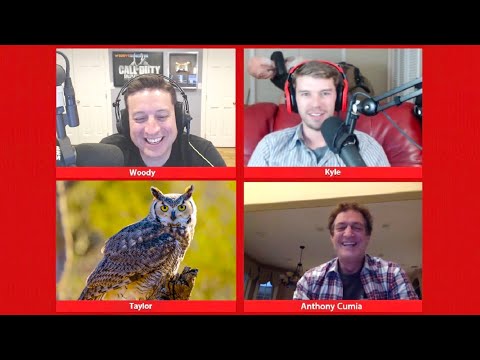 Taylor the Owl | PKA
